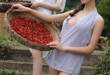 [Ugirls尤果网] 2016.09.14 T020 合家欢 [52P]-美图岛