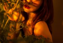 [PDL潘多拉] 2020.01.07 No.263 [66+1P]-美图岛