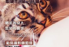 《潘多拉》2016.08.01 第三期-美图岛