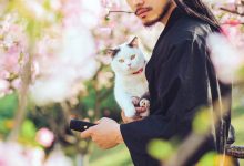 [YITUYU艺图语]2021.09.04 猫侍 邱风[30+1P／311MB]-美图岛