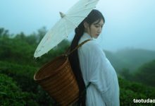 [YITUYU艺图语]2021.12.24 空山灵雨 初茶[26+1P／433MB]-美图岛