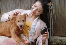 [YITUYU艺图语]2022.01.07 卖花姑娘 陶然[24+1P／373MB]-美图岛