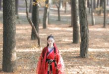 [YITUYU艺图语]2022.04.07 剑破山河 云之是小狐狸吖[21+1P／624MB]-美图岛