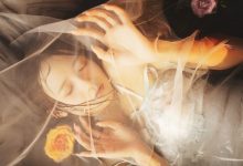 兔子Zzz不吃胡萝卜 - NO.46 梦莲 [30P-377MB]-美图岛