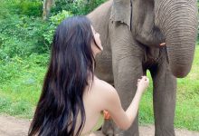 就是阿朱啊 -  人与自然 [16P-205MB]-美图岛