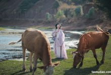 [YITUYU艺图语]2023.04.09 去随青草牧春牛 瑜瑾[24+1P／524MB]-美图岛