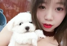 鱼鱼足影 NO.056 - 长沙幼师[26P／59MB]-美图岛