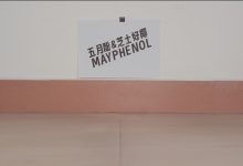 芝士好椰 NO.097 – 听！把麦克风别在鞋上！黑色维莉雅 [MOV-494MB]-美图岛